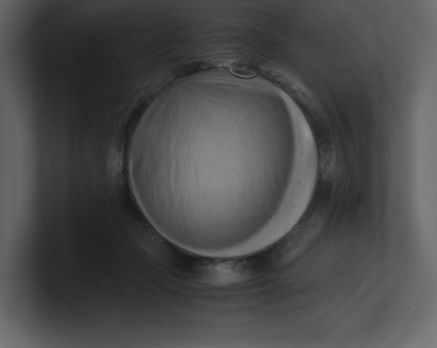 X0000100930365200807151249