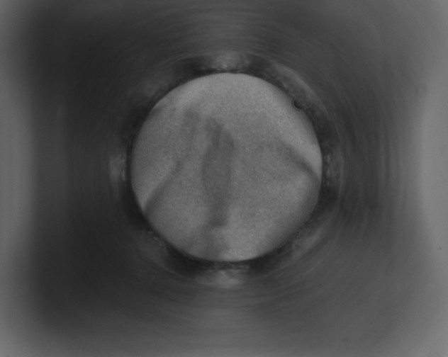 X0000100930368200807151249