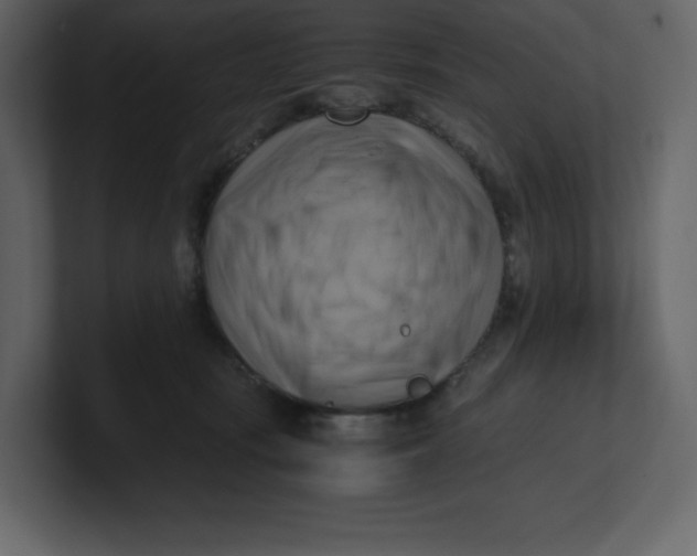 X0000100930371200807151249