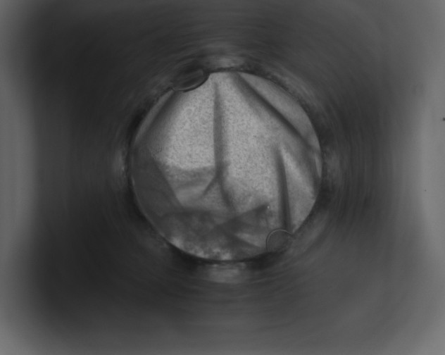 X0000100930373200807151249