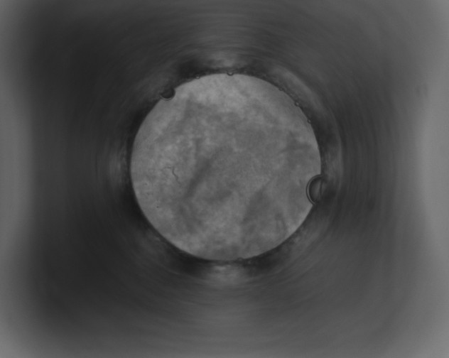 X0000100930376200807151249