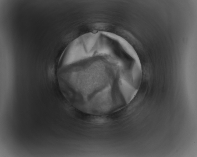 X0000100930377200807151249