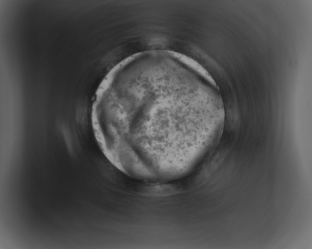 X0000100930379200807151249