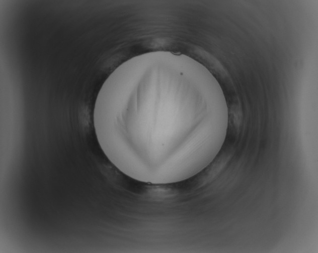 X0000100930380200807151249