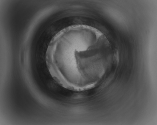 X0000100930381200807151249