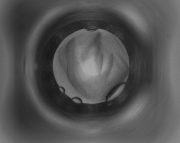 X0000100930383200807151249