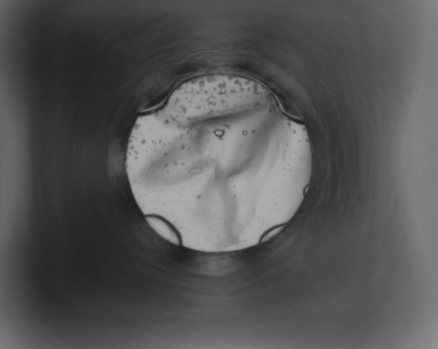 X0000100930384200807151249