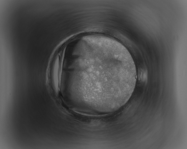 X0000100930388200807151249