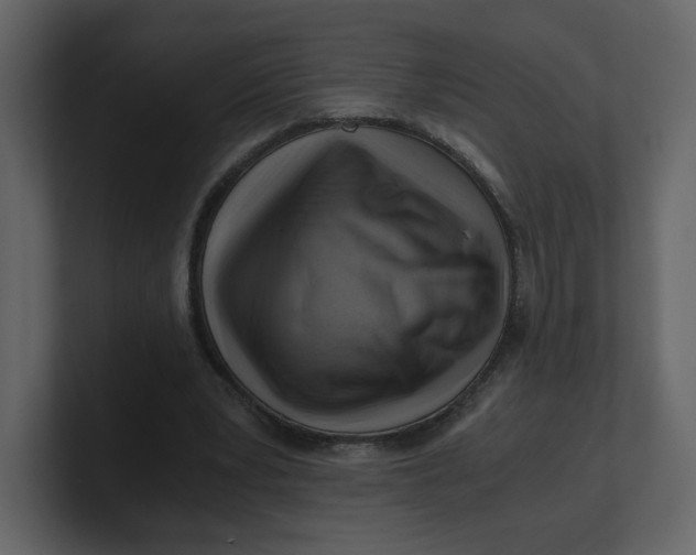 X0000100930391200807151249