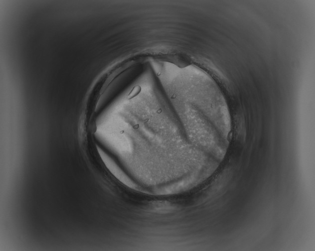 X0000100930392200807151249