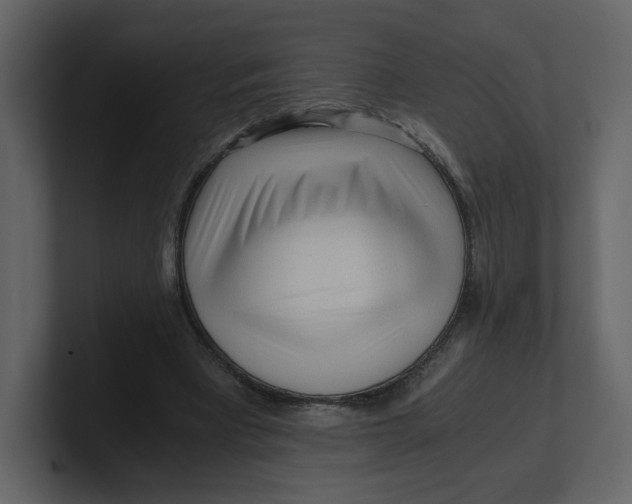 X0000100930393200807151249