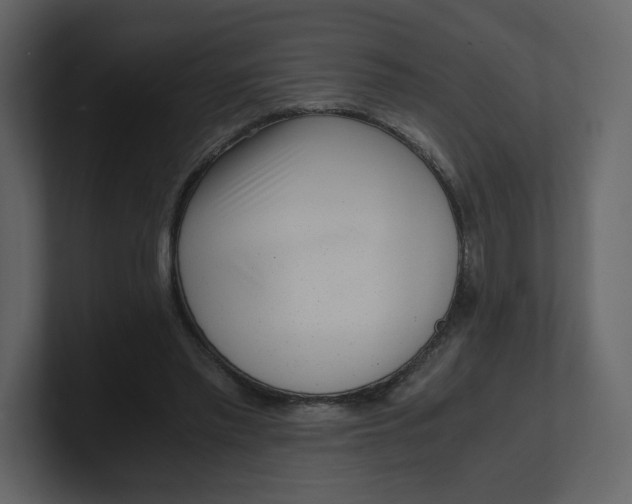 X0000100930397200807151249