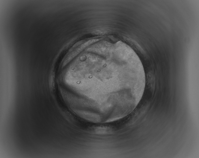 X0000100930400200807151248