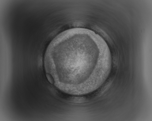 X0000100930401200807151248