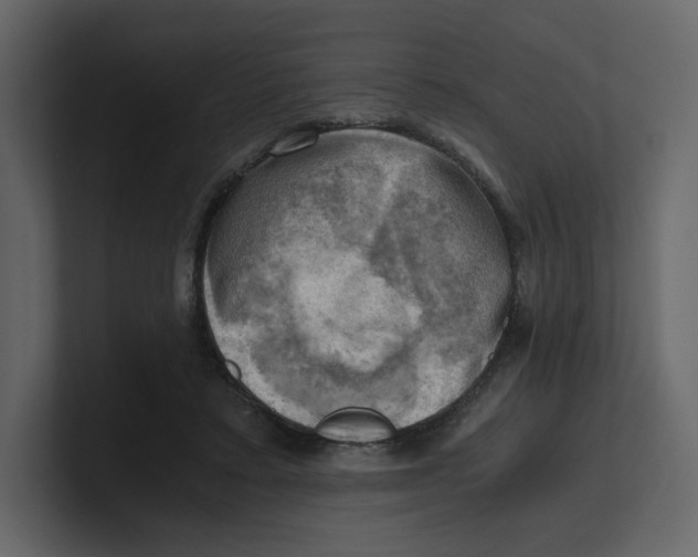 X0000100930403200807151248