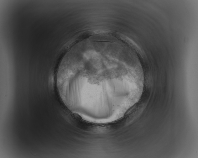 X0000100930405200807151248