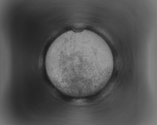 X0000100930407200807151248