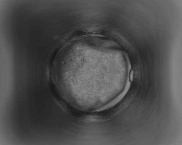 X0000100930408200807151248