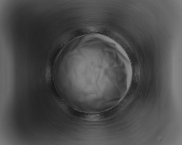 X0000100930410200807151248