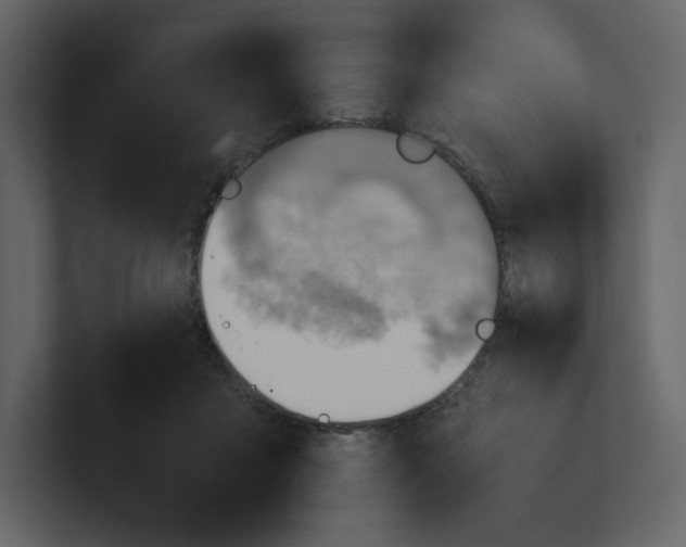 X0000100930411200807151248