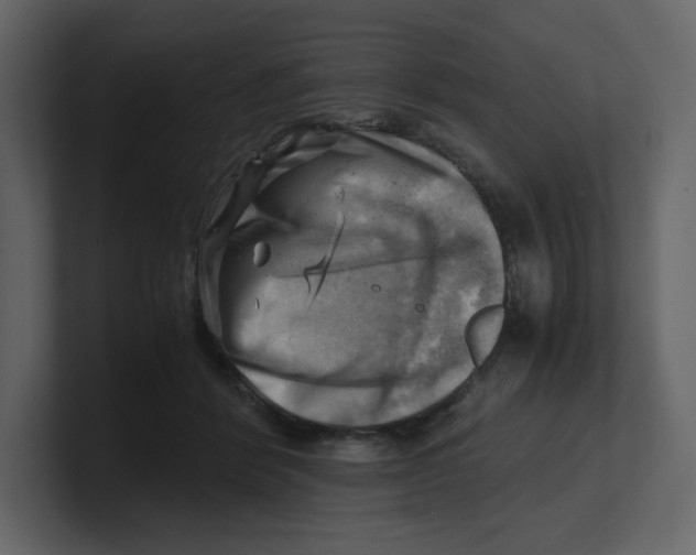 X0000100930412200807151248