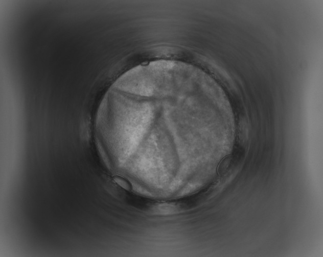 X0000100930413200807151248