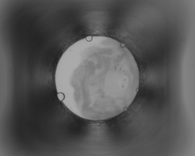 X0000100930415200807151248