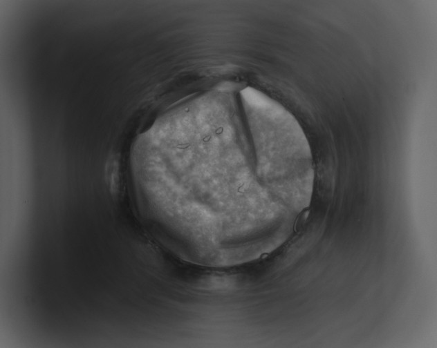 X0000100930416200807151248