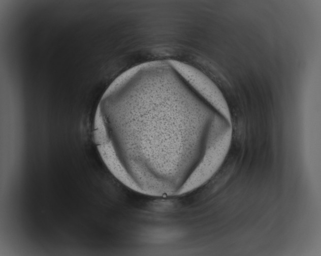 X0000100930418200807151248