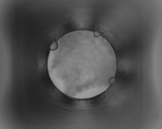 X0000100930419200807151248