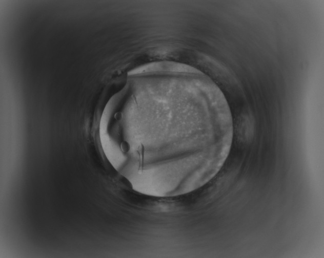 X0000100930420200807151248