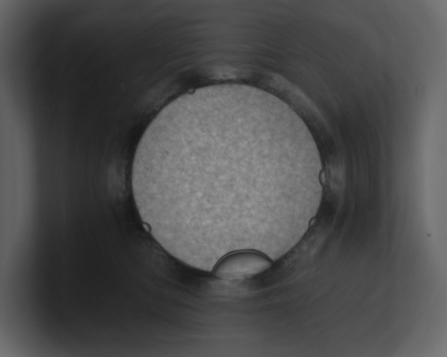 X0000100930422200807151248