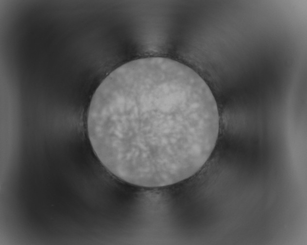 X0000100930423200807151248