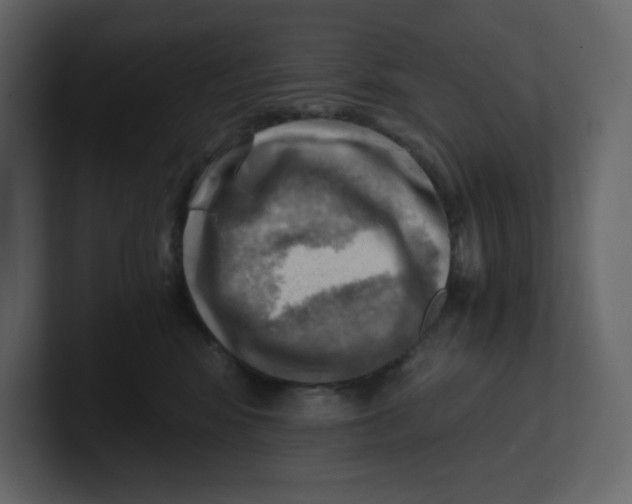 X0000100930424200807151248