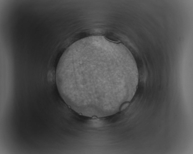 X0000100930425200807151248