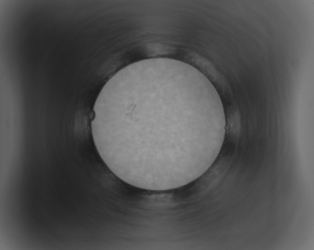 X0000100930426200807151248