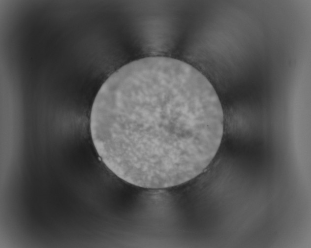 X0000100930427200807151248