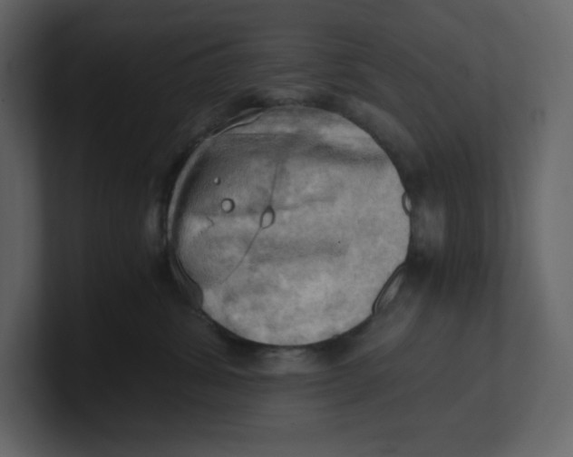 X0000100930428200807151248