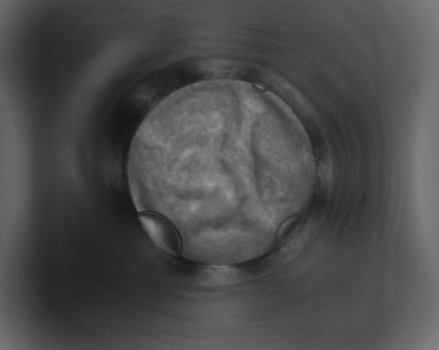 X0000100930429200807151248