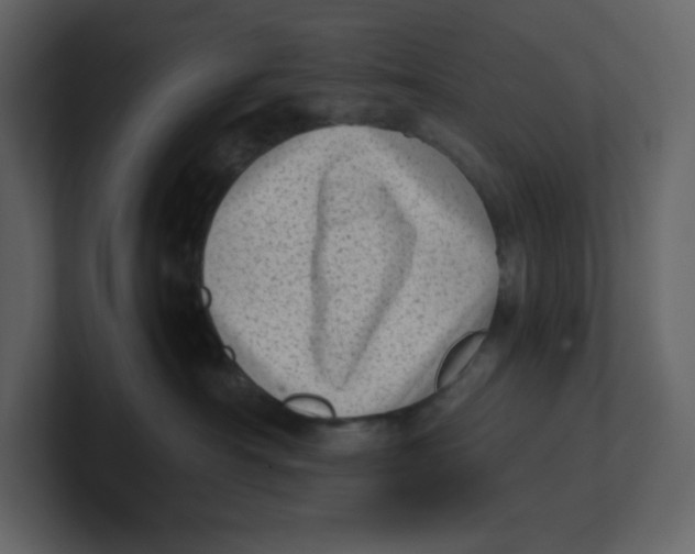 X0000100930430200807151248