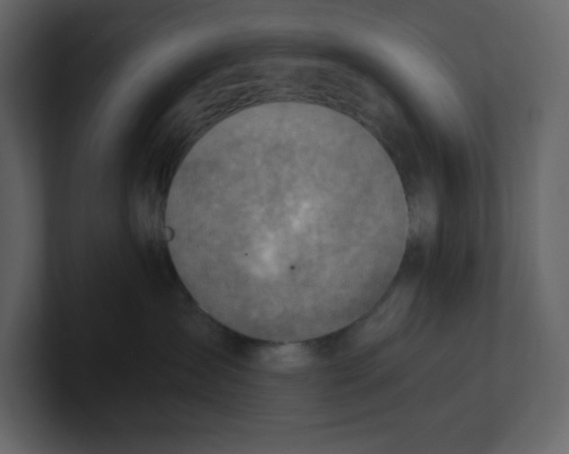 X0000100930431200807151248