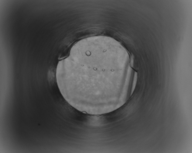 X0000100930432200807151248