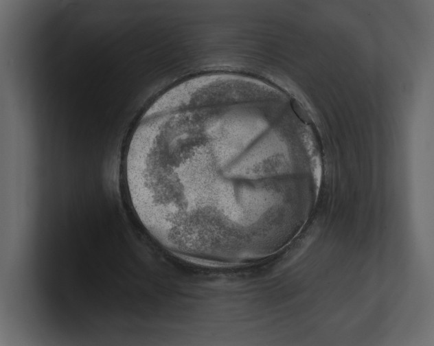 X0000100930434200807151247