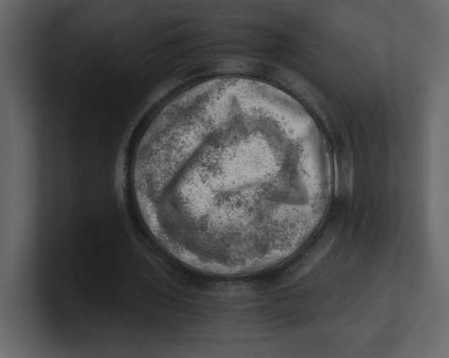 X0000100930435200807151247