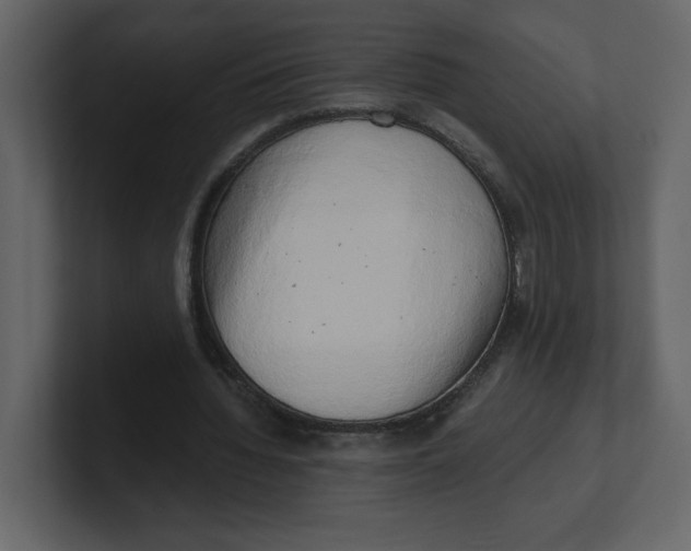 X0000100930436200807151247