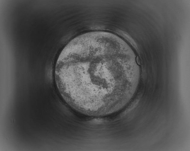 X0000100930441200807151247