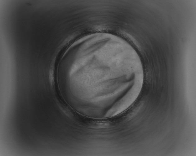 X0000100930443200807151247