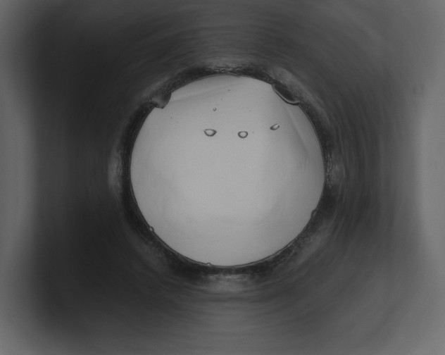 X0000100930448200807151248