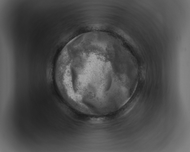 X0000100930450200807151248