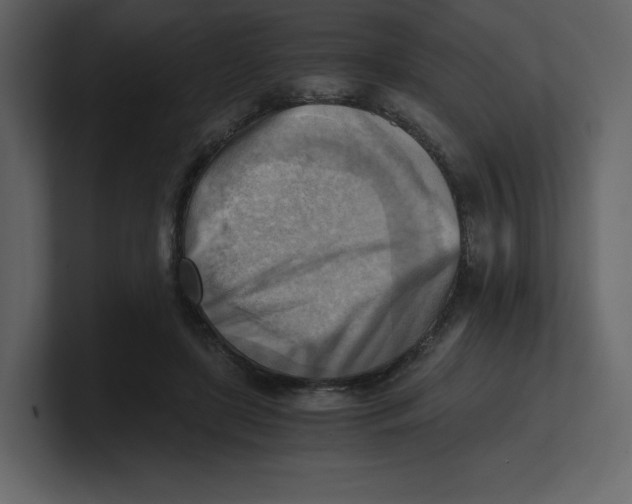 X0000100930451200807151248